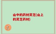 山中的药材灵芝(山上的灵芝药材)