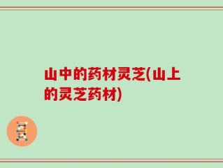 山中的药材灵芝(山上的灵芝药材)