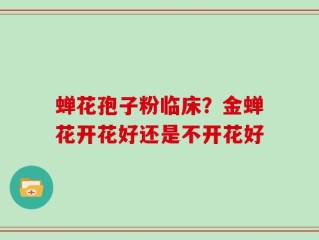 蝉花孢子粉临床？金蝉花开花好还是不开花好