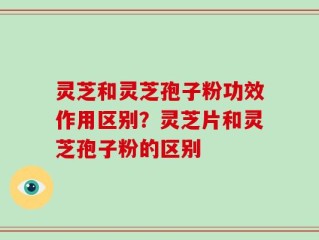 灵芝和灵芝孢子粉功效作用区别？灵芝片和灵芝孢子粉的区别