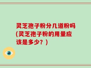 灵芝孢子粉分几道粉吗(灵芝孢子粉的用量应该是多少？)