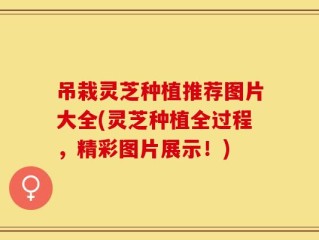 吊栽灵芝种植推荐图片大全(灵芝种植全过程，精彩图片展示！)