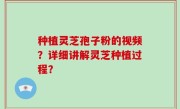 种植灵芝孢子粉的视频？详细讲解灵芝种植过程？