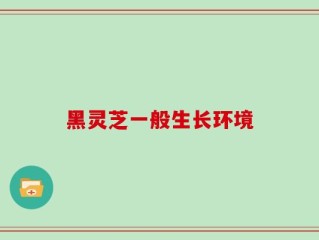 黑灵芝一般生长环境