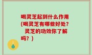 喝灵芝起到什么作用 (喝灵芝有哪些好处？  灵芝的功效你了解吗？)