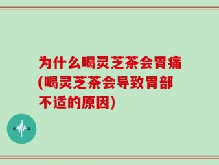 为什么喝灵芝茶会胃痛(喝灵芝茶会导致胃部不适的原因)