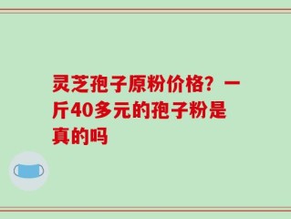 灵芝孢子原粉价格？一斤40多元的孢子粉是真的吗
