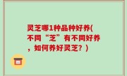 灵芝哪1种品种好养(不同“芝”有不同好养，如何养好灵芝？)