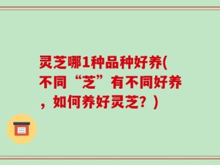 灵芝哪1种品种好养(不同“芝”有不同好养，如何养好灵芝？)