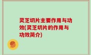灵芝切片主要作用与功效(灵芝切片的作用与功效简介)