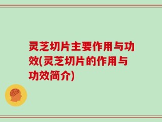 灵芝切片主要作用与功效(灵芝切片的作用与功效简介)