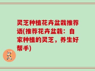 灵芝种植花卉盆栽推荐语(推荐花卉盆栽：自家种植的灵芝，养生好帮手)