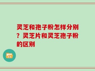 灵芝和孢子粉怎样分别？灵芝片和灵芝孢子粉的区别