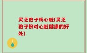 灵芝孢子粉心脏(灵芝孢子粉对心脏健康的好处)