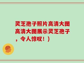 灵芝孢子照片高清大图高清大图展示灵芝孢子，令人惊叹！)