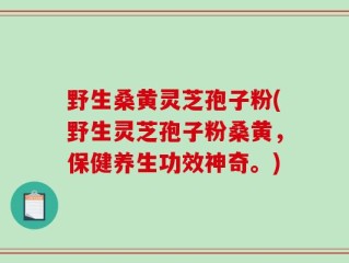 野生桑黄灵芝孢子粉(野生灵芝孢子粉桑黄，保健养生功效神奇。)