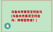 乌鲁木齐黑灵芝何首乌(乌鲁木齐黑灵芝何首乌：神奇营养素？)