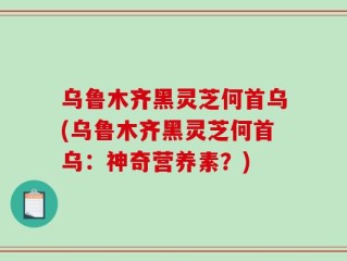 乌鲁木齐黑灵芝何首乌(乌鲁木齐黑灵芝何首乌：神奇营养素？)