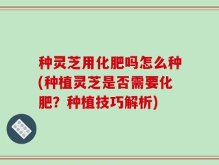 种灵芝用化肥吗怎么种(种植灵芝是否需要化肥？种植技巧解析)