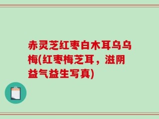 赤灵芝红枣白木耳乌乌梅(红枣梅芝耳，滋阴益气益生写真)