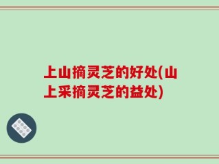 上山摘灵芝的好处(山上采摘灵芝的益处)