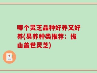 哪个灵芝品种好养又好养(易养种类推荐：拔山盖世灵芝)