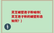灵芝破壁孢子粉啥样(灵芝孢子粉的破壁形态如何？)