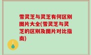 雪灵芝与灵芝有何区别图片大全(雪灵芝与灵芝的区别及图片对比指南)