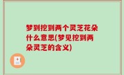梦到挖到两个灵芝花朵什么意思(梦见挖到两朵灵芝的含义)