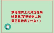 梦见榆树上长灵芝花朵啥意思(梦见榆树上长灵芝花代表了什么？)