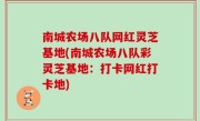 南城农场八队网红灵芝基地(南城农场八队彩灵芝基地：打卡网红打卡地)
