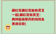 藏红花藏红花能和灵芝一起(藏红花和灵芝：两种超级草药的功效及用途比较)