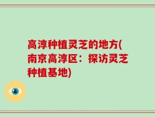 高淳种植灵芝的地方(南京高淳区：探访灵芝种植基地)