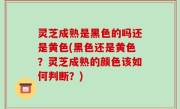 灵芝成熟是黑色的吗还是黄色(黑色还是黄色？灵芝成熟的颜色该如何判断？)