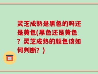 灵芝成熟是黑色的吗还是黄色(黑色还是黄色？灵芝成熟的颜色该如何判断？)
