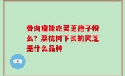 骨肉瘤能吃灵芝孢子粉么？荔枝树下长的灵芝是什么品种