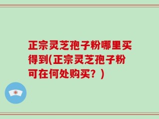 正宗灵芝孢子粉哪里买得到(正宗灵芝孢子粉可在何处购买？)