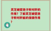灵芝破壁孢子粉对肝的作用？了解灵芝破壁孢子粉对肝脏的保健作用？