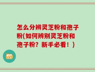 怎么分辨灵芝粉和孢子粉(如何辨别灵芝粉和孢子粉？新手必看！)