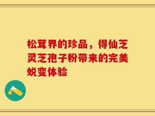 松茸界的珍品，得仙芝灵芝孢子粉带来的完美蜕变体验