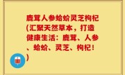 鹿茸人参蛤蚧灵芝枸杞(汇聚天然草本，打造健康生活：鹿茸、人参、蛤蚧、灵芝、枸杞！)