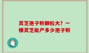 灵芝孢子粉颗粒大？一棵灵芝能产多少孢子粉