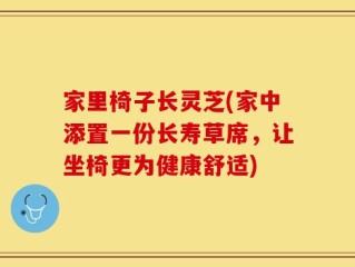 家里椅子长灵芝(家中添置一份长寿草席，让坐椅更为健康舒适)