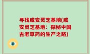 寻找咸安灵芝基地(咸安灵芝基地：探秘中国古老草药的生产之路)