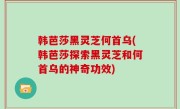 韩芭莎黑灵芝何首乌(韩芭莎探索黑灵芝和何首乌的神奇功效)