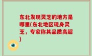 东北发现灵芝的地方是哪里(东北地区现身灵芝，专家称其品质高超)