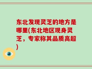 东北发现灵芝的地方是哪里(东北地区现身灵芝，专家称其品质高超)