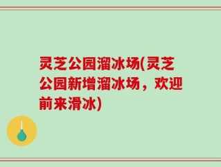 灵芝公园溜冰场(灵芝公园新增溜冰场，欢迎前来滑冰)