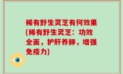 稀有野生灵芝有何效果(稀有野生灵芝：功效全面，护肝养肺，增强免疫力)