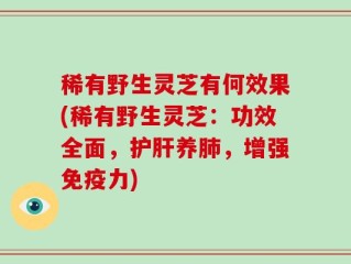 稀有野生灵芝有何效果(稀有野生灵芝：功效全面，护肝养肺，增强免疫力)